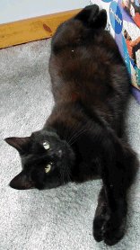 Polly doing what she does best